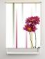 Preview: Rollo Astern linia rechts, Rollo, Motivrollo, Rollo mit Druck, Fotorollo, bedrucktes Rollo, Fensterrollo,verdunkelndes Rollo, Sonnenschutz Rollo